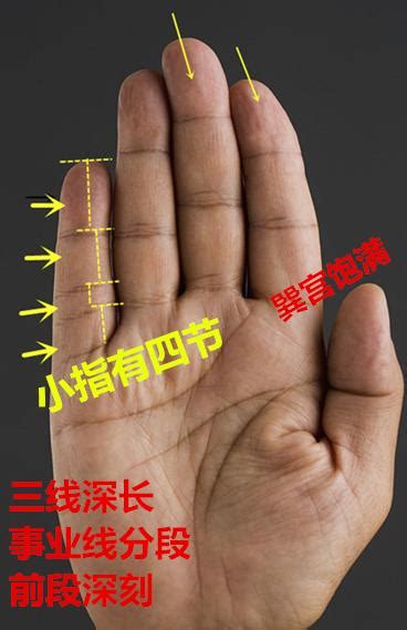 小指有四節|【小指有四節】解讀小指四節紋的神秘：驚人財運與福氣 – 每日新。